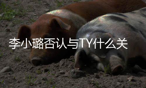 吗李小璐否李小璐新男友是关系歌手什么说唱认与